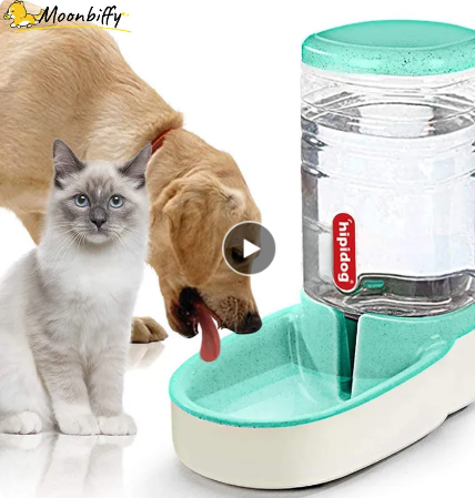 Alimentador automático para cães