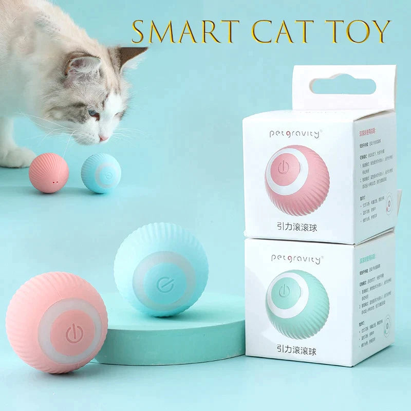 Bolinha interativa para gatos - Rbkstore